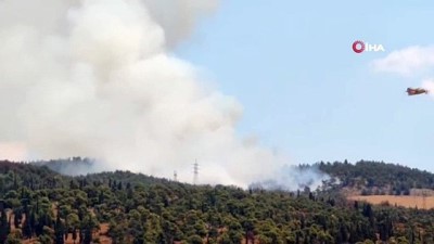 itfaiye eri -  - Selanik’te orman yangını: Bir otel tahliye edildi Videosu