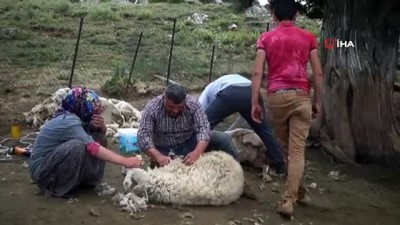 kirka -  Elyaf kullanımı artınca koyun yünleri gözden düştü Videosu