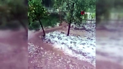yagan -  Oltu’da dolu yağışı ekili alanlara zarar verdi Videosu