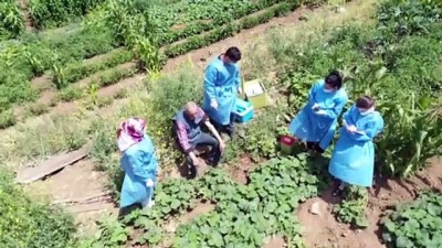 koronavirus - BİTLİS - Mobil ekipler ön yargıları yıkıp aşılamayı artırmak için dağ bayır demeden kilometrelerce yol katediyor Videosu