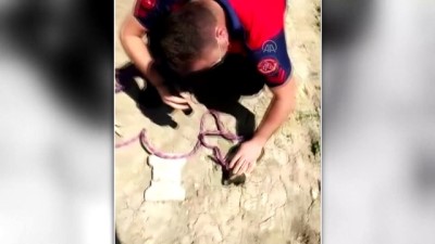 DÜZCE - Sondaj kuyusuna düşen yavru köpeği itfaiye kurtardı