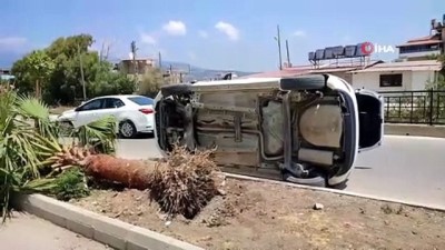 direksiyon -  Köpeğe çarpmamak için kaza yaptı Videosu