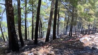 siddetli ruzgar - MERSİN - Kontrol altına alınan orman yangınında soğutma çalışmaları devam ediyor Videosu