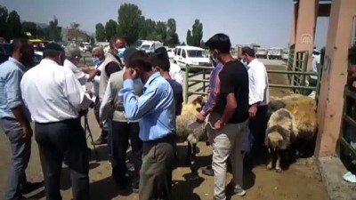 polis memuru - MUŞ - Polis ekipleri, besiciler ile vatandaşları 'sahte para'ya karşı uyardı Videosu