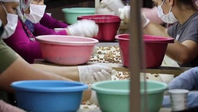 yatirimci - OSMANİYE - Devlet desteğiyle yer fıstığı işleme tesisi kuran aile, 50 kişiye de istihdam sağladı Videosu