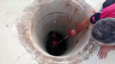 yavru kopek -  Kanalizasyon kuyusuna düşen yavru köpek itfaiye ekiplerince kurtarıldı Videosu