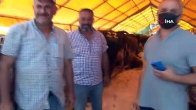 arefe gunu -  Kurban pazarlarında bayram öncesi yoğunluk Videosu