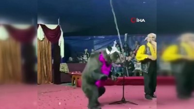 ayi saldirisi -  - Rusya'da sirkte gösteri yapan ayı terbiyecisine saldırdı Videosu