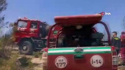 ormanli -  Denizli'de orman yangını: 15 dekar orman küle döndü Videosu