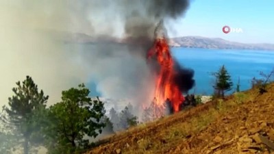 ormanlik alanda yangin -  Elazığ’da orman yangını: Çok sayıda ekip sevk edildi Videosu
