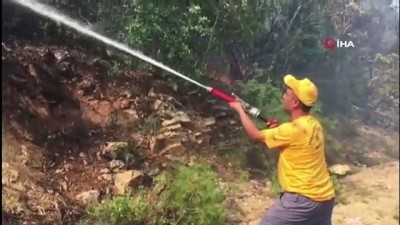 cam agaci -  Osmaneli'de orman yangını: 10 hektar ormanlık alan yandı Videosu