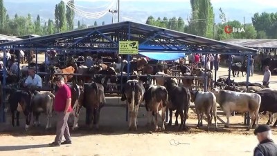 hayvan pazari -  Simav'da üretici umduğunu bulamadı Videosu