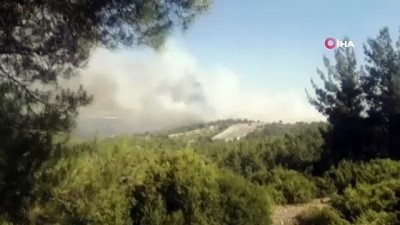 aniz yangini -  Anız yangını ormanlık alana sıçradı Videosu