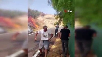 makilik alan -  Bodrum’da otluk ve makilik alanda yangın çıktı Videosu