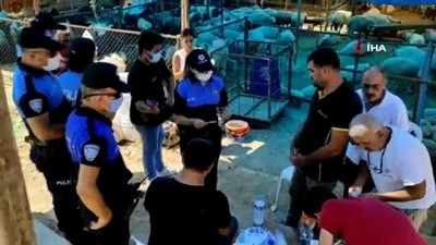 hayvan pazari -  Mersin polisi sahte paraya karşı uyardı Videosu