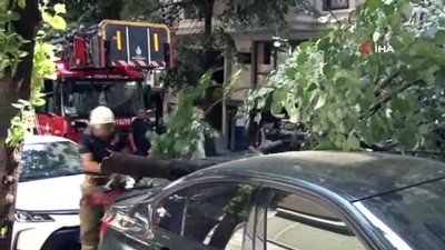 luks otomobil -  Ünlü oyuncunun lüks aracının üzerine ağaç devrildi Videosu