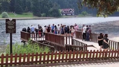 piknik alanlari - BOLU - Gölcük Tabiat Parkı bayramda tatilci yoğunluğu Videosu