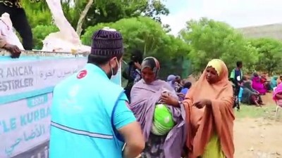 buyukbas hayvan - BORAMA - TDV tarafından Somaliland'da kesilen kurbanlar 3 bin ihtiyaç sahibine ulaştırıldı Videosu