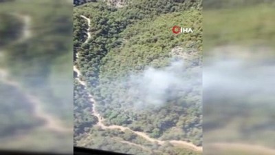  İzmir'de ormanlık alanda çıkan yangın kontrol altında