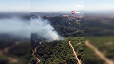 ormanlik alanda yangin -  İzmir'de ormanlık alanda yangın Videosu