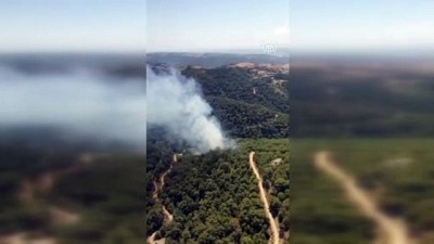 İZMİR - Orman yangınına karadan ve havadan müdahale ediliyor