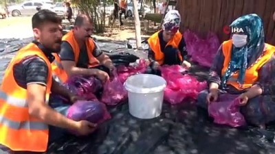 misyon -  Kestikleri 1 ton kurbanı 400 aileye dağıttılar Videosu