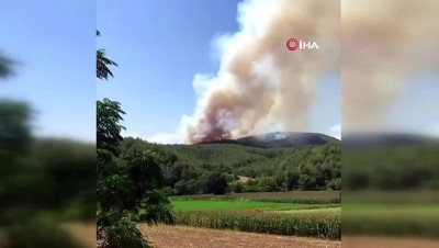 ormanlik alanda yangin -  Osmaniye’de orman yangını Videosu