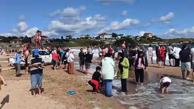 plaj - KOCAELİ - Denizde kaybolan genç aranıyor Videosu