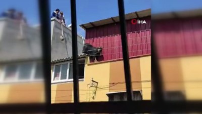 mustakil ev -  Kurbanlık keçi çatıdan düştü Videosu