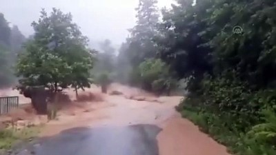 su - RİZE - Fındıklı'da sağanak nedeniyle dereler taştı (6) Videosu