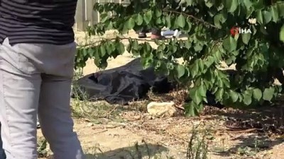 agir yarali -  Bariyerleri kıran pikap köprüden uçtu: 2 ölü, 1 yaralı Videosu