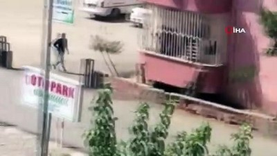 emniyet mudurlugu -  Kaçan kurbanlık danayı yakalamak için polis, zabıta ve vatandaşlar seferber oldu Videosu