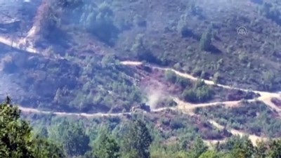 ormanlik alanda yangin - HATAY - Suriye'de çıkan ve Türkiye'ye sıçrayan yangın kontrol altına alındı Videosu