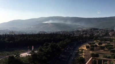 ormanli - KAHRAMANMARAŞ -  Ormanlık alanda çıkan örtü yangını söndürüldü Videosu