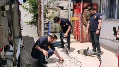 su - KOCAELİ - Kafası demir boruya sıkışan kediyi itfaiye kurtardı Videosu