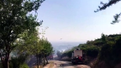 tas ocagi - OSMANİYE - Kadirli'de çıkan orman yangını kontrol altına alındı Videosu