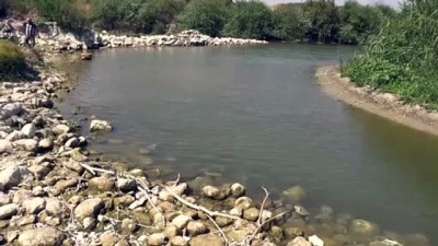 su - HATAY - Asi Nehri'nde balık ölümleri görülmesi üzerine çalışma başlatıldı Videosu