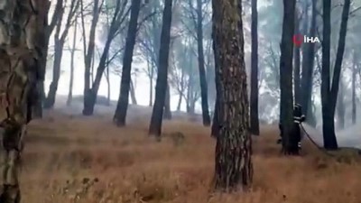 yardim talebi -  - İtalya'nın Sardunya Adası'nda büyük yangın Videosu