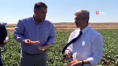 asad -  Başkan Tahmazoğlu, çiftçilerle ekti çiftçilerle topladı Videosu