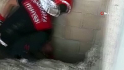 yavru kopekler -  İki duvar arasına sıkışan yavru köpekler kurtarıldı Videosu