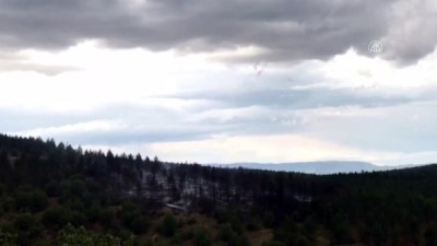 KASTAMONU - Ormanlık alanda çıkan yangın kontrol altına alındı