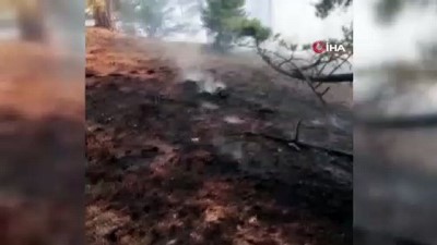 su -  Adana'da ikinci orman yangını Videosu