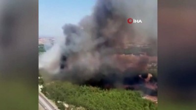  Adana’da orman yangını