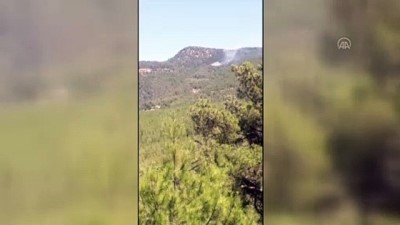 ormanli - ADANA - Kozan'da orman yangını Videosu