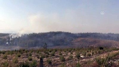 ADANA - Sarıçam'da çıkan orman yangını kontrol altına alındı
