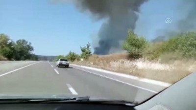 ormanli - ADANA - Sarıçam'da çıkan orman yangınına müdahale ediliyor Videosu