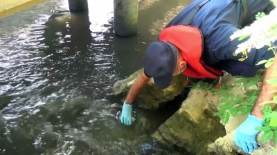 kanalizasyon - ANTALYA - Manavgat Irmağı'na atık su bırakıldığı iddiası Videosu