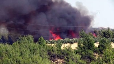 guvenlik onlemi - ADANA - Çukurova'da çıkan orman yangınına müdahale ediliyor Videosu