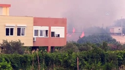 ANTALYA - Pakdemirli, Manavgat'ta orman yangınının çıktığı bölgeye geldi