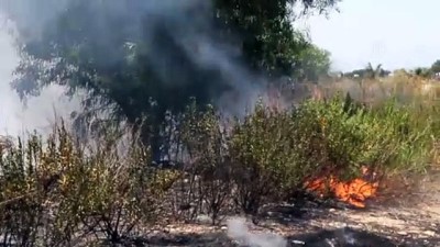 makilik alan - ANTALYA - Yol kenarında alev alan araçtan çıkan kıvılcımlar makilik alanda yangına neden oldu Videosu